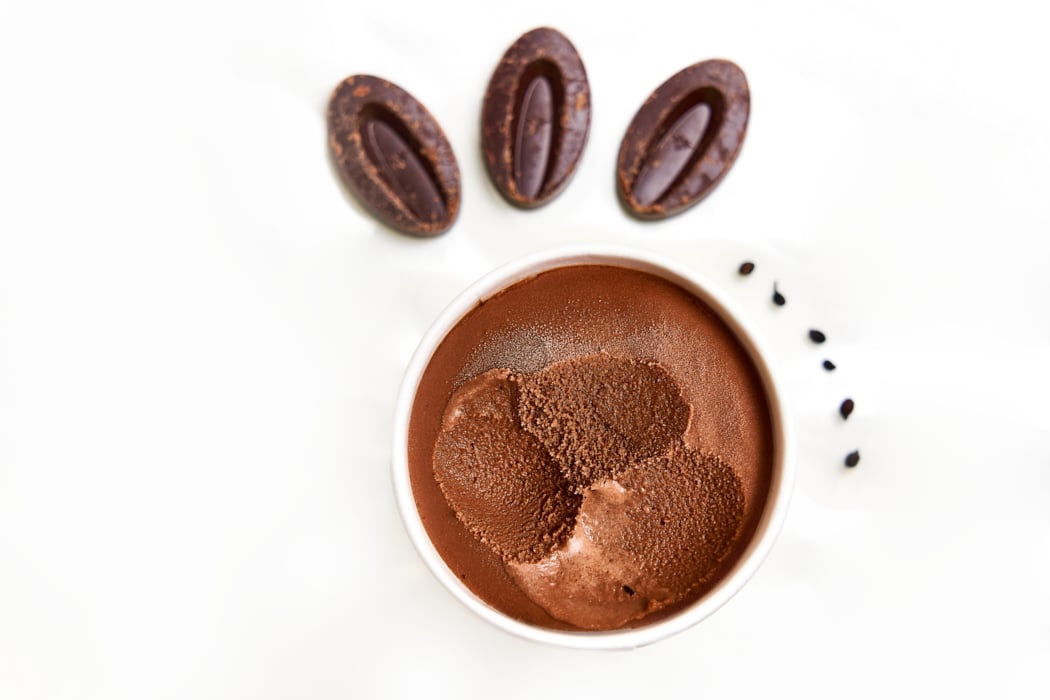 Photographe : Elsa Dumoulin