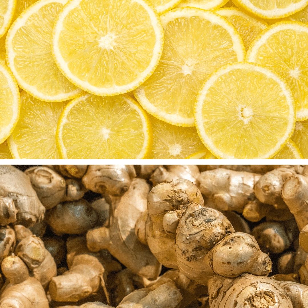 Sorbet plein fruit Citron & gingembre