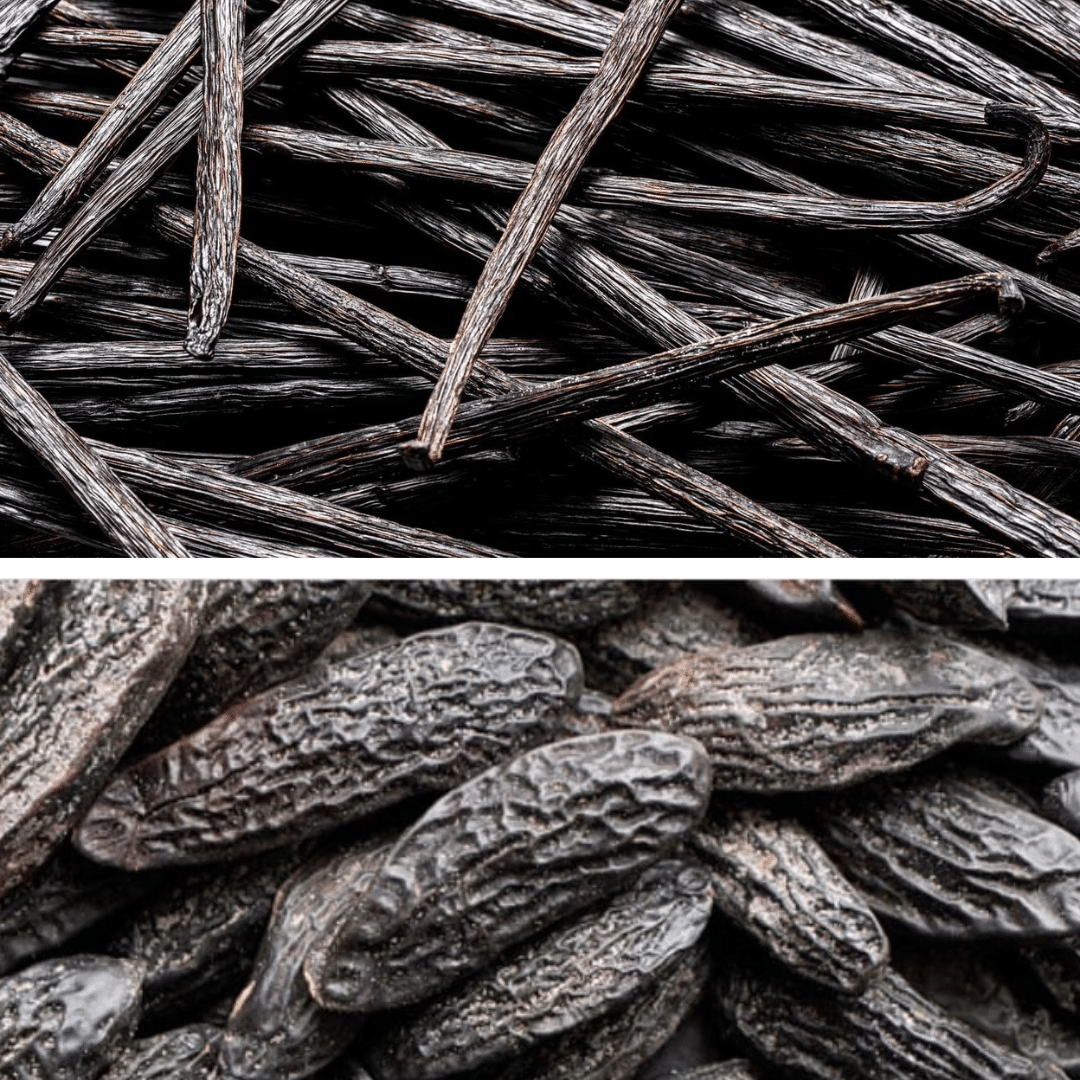 Crème glacée vanille de Madagascar et fève tonka