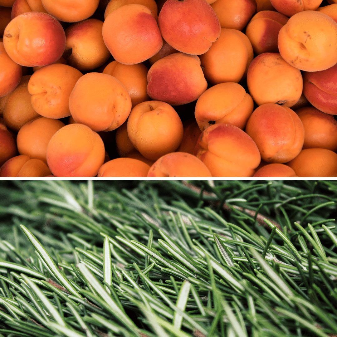 Sorbet plein fruit abricot romarin Sorbet plein fruit abricot romarin