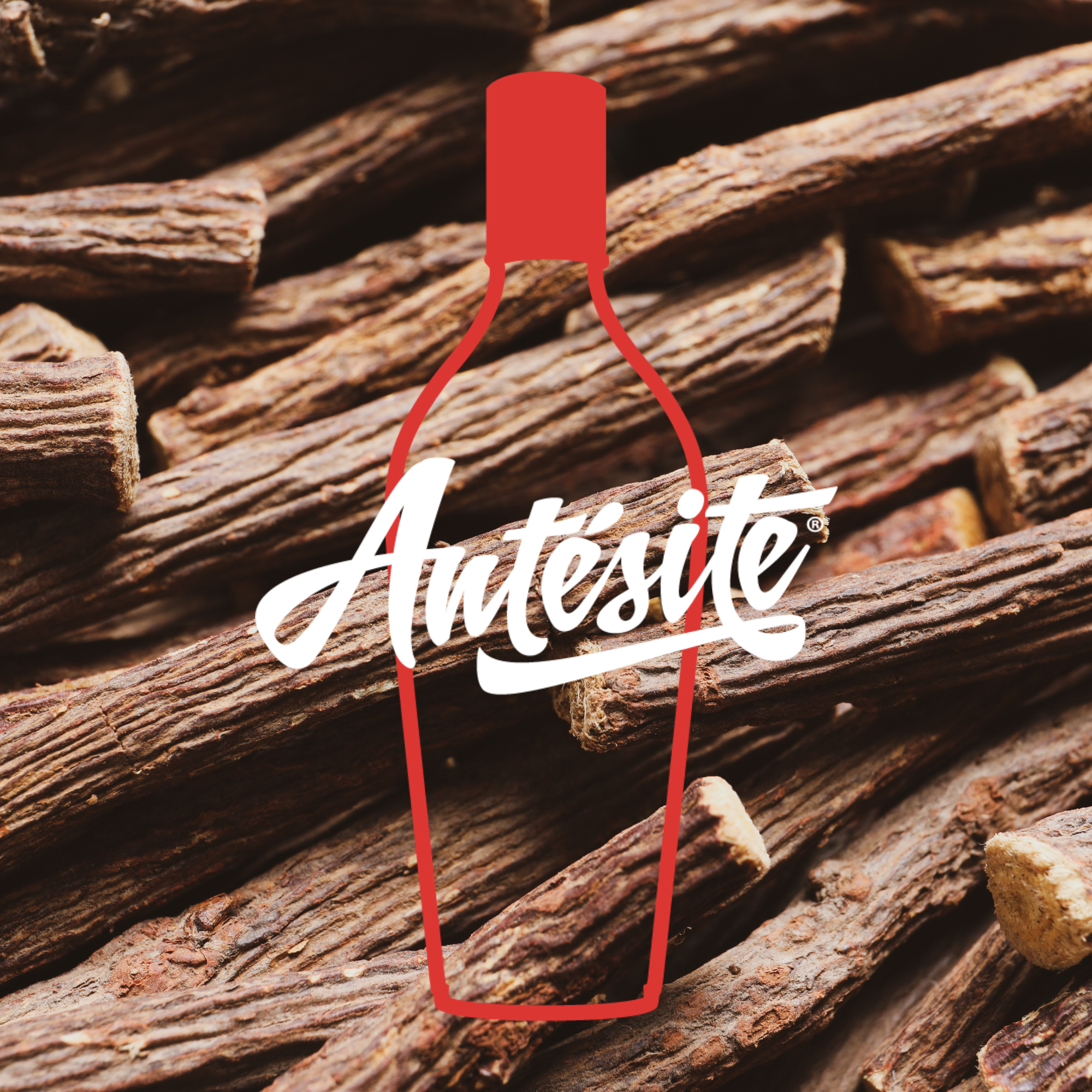 Crème glacée Antésite Réglisse Anis